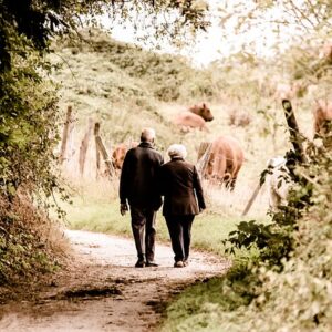 elderly, couple, walking, trail, countryside, rural, retired, leisure, path, elderly, elderly, elderly, elderly, couple, couple, couple, couple, couple, walking, walking, walking, walking